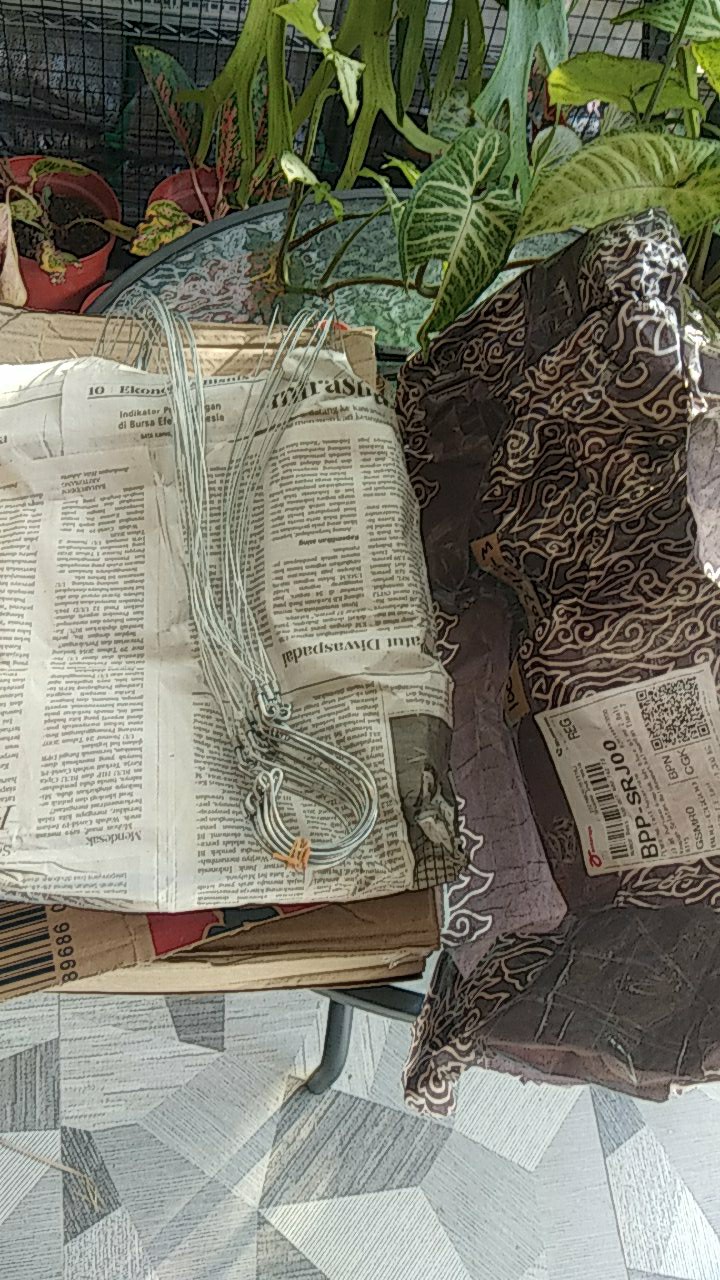 Tilandsia Atau Jenggot Musa Atau Jenggot Dewa 40 Cm