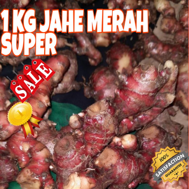 

1 KG JAHE MERAH / JAHE MERAH MEDAN / JAHE MERAH JAWA / JAHE / JAHE MERAH TUA / SERBUK JAHE MERAH (Mengatasi Virus)