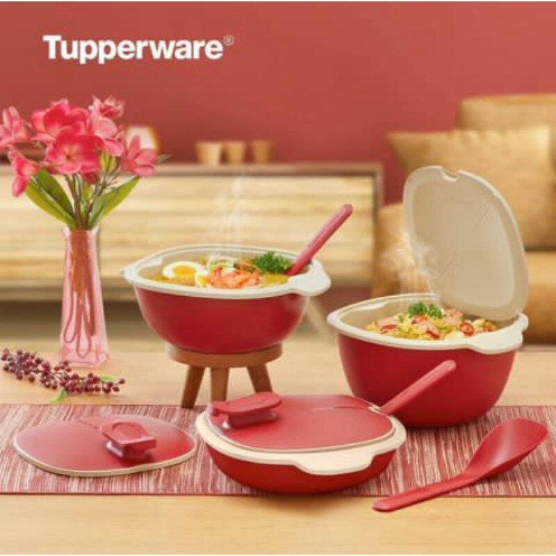 Warmie Tup Set wadah saji tahan panas tupperware