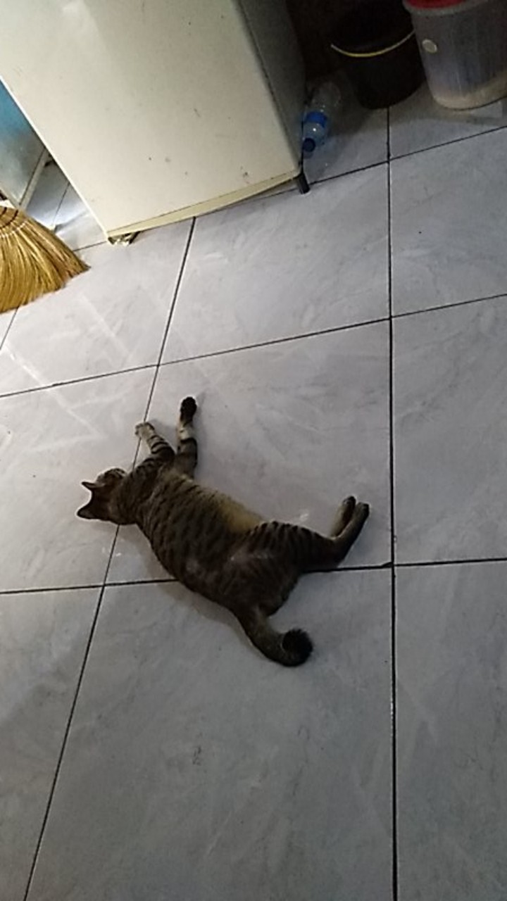 Batik Keluarga - Batik Couple Keluarga Muslim Sogan Family Ayah Ibu Anak Batik Set Family