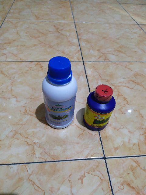 T-rex Vitamin B1 Thailand 100ml