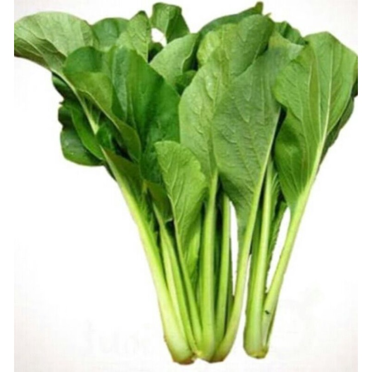 

Sayur Caisim 250gram