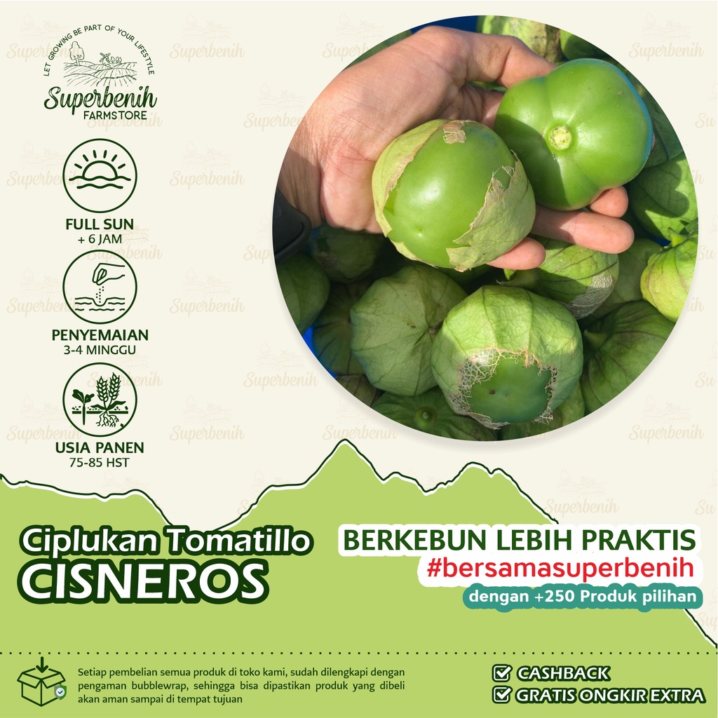 3 Biji - Benih Ciplukan CISNEROS, Tomatillo Hijau Jumbo