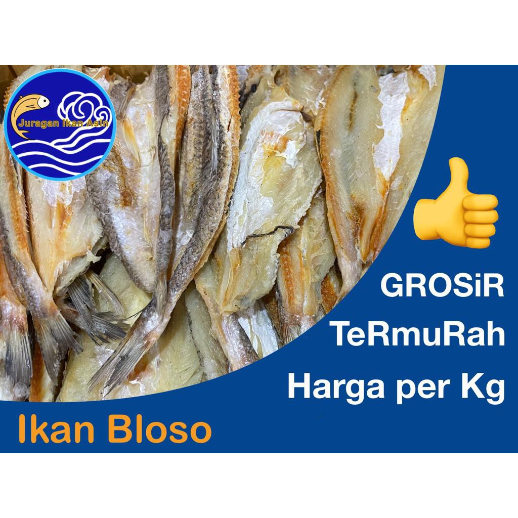

Ikan Asin BLOSO 1kg, GROSIR, MURAH
