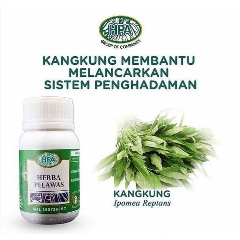 Kapsul pelawas HPA/ pelawas pak haji