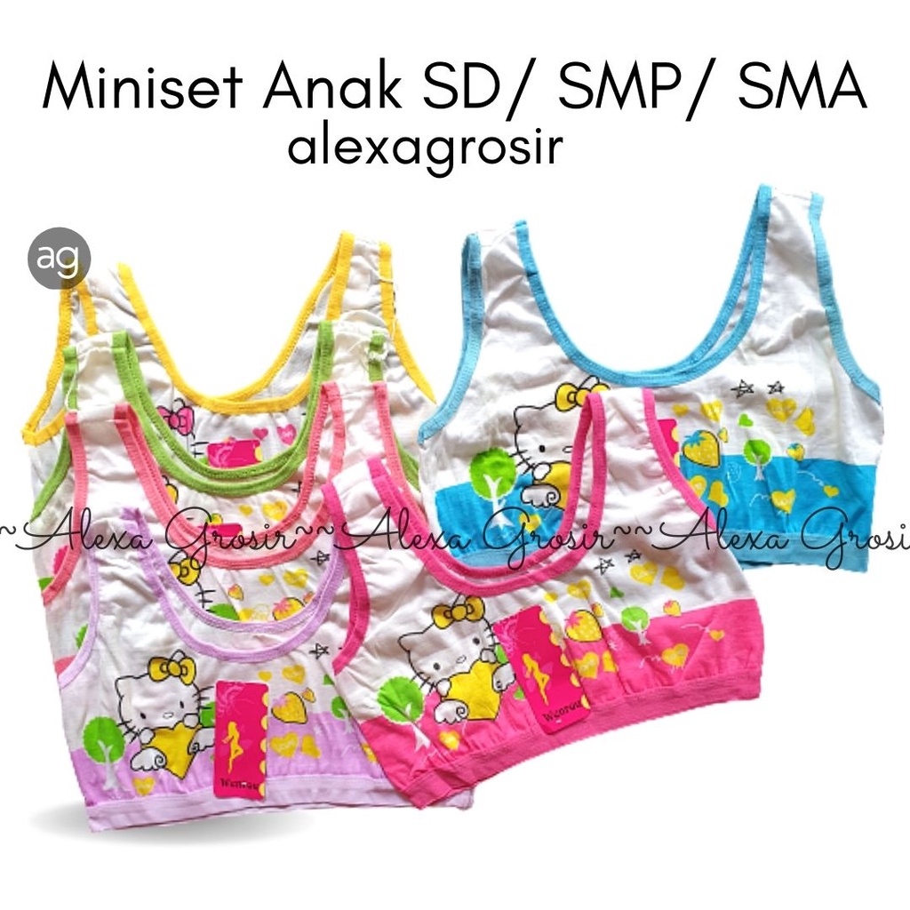 GROSIR 12 PCS miniset anak ABG, bra motif karakter lucu wanita remaja , pakaian dalam grosir wenrou