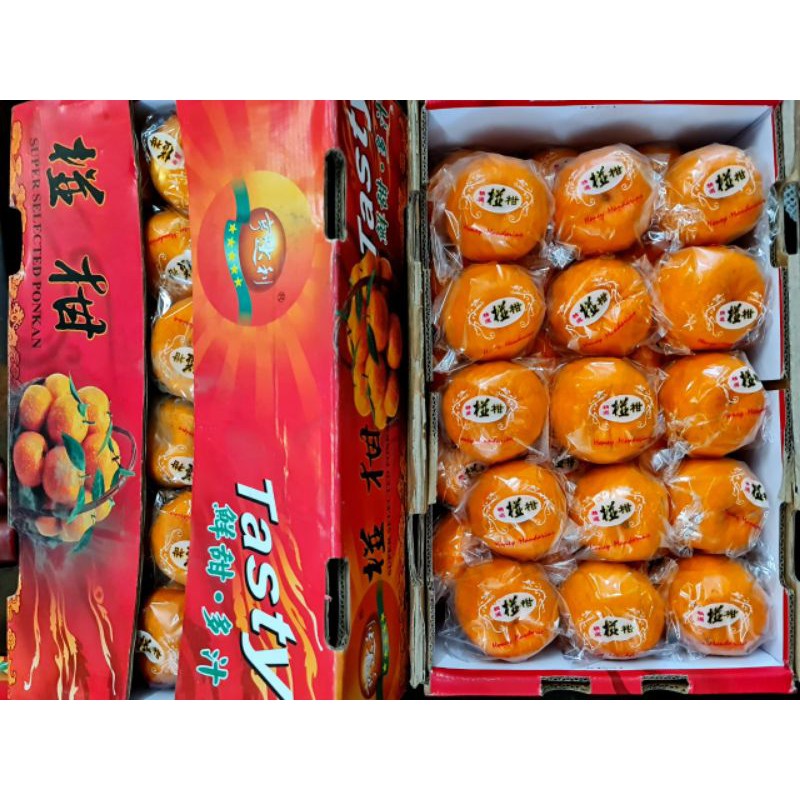 

Buah Jeruk Ponkam HDL isi tasty Isi 30 pcs