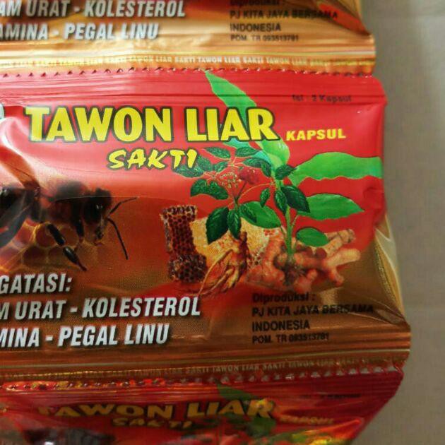 ✸ >Tawon-liar asli ✤