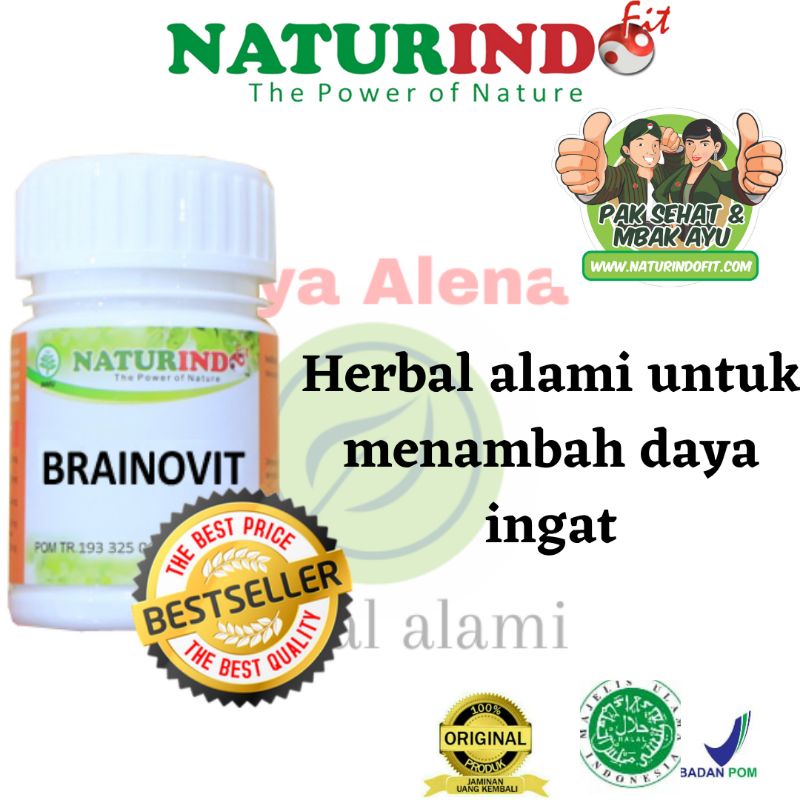 Jual Vitamin Nutrisi Otak Obat Kecerdasan Otak Obat Untuk Daya Ingat