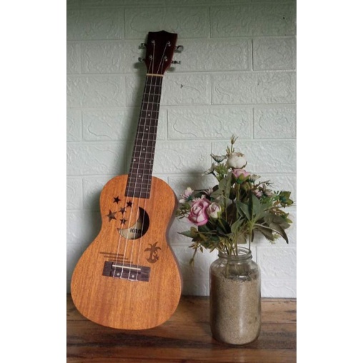 kane ukulele 4 senar