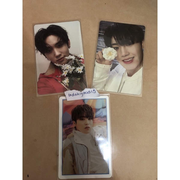 PC Doyoung bunga selca Jeongwoo konsep Mashiho Photocard Blue Treasure TSSta