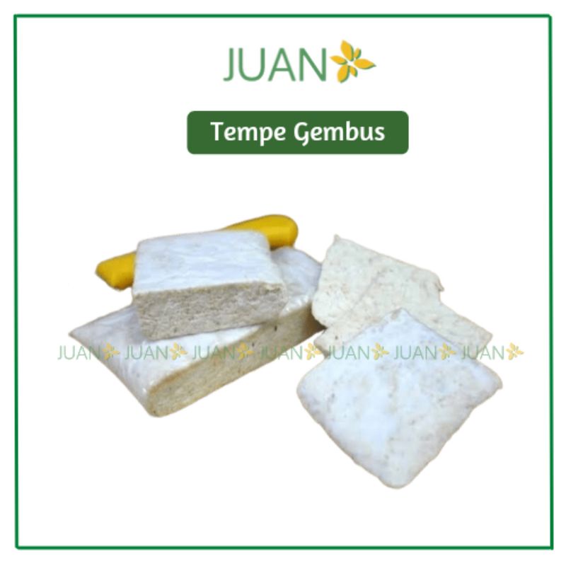 

Tempe Gembus 1 Pcs - Juan Freshmart