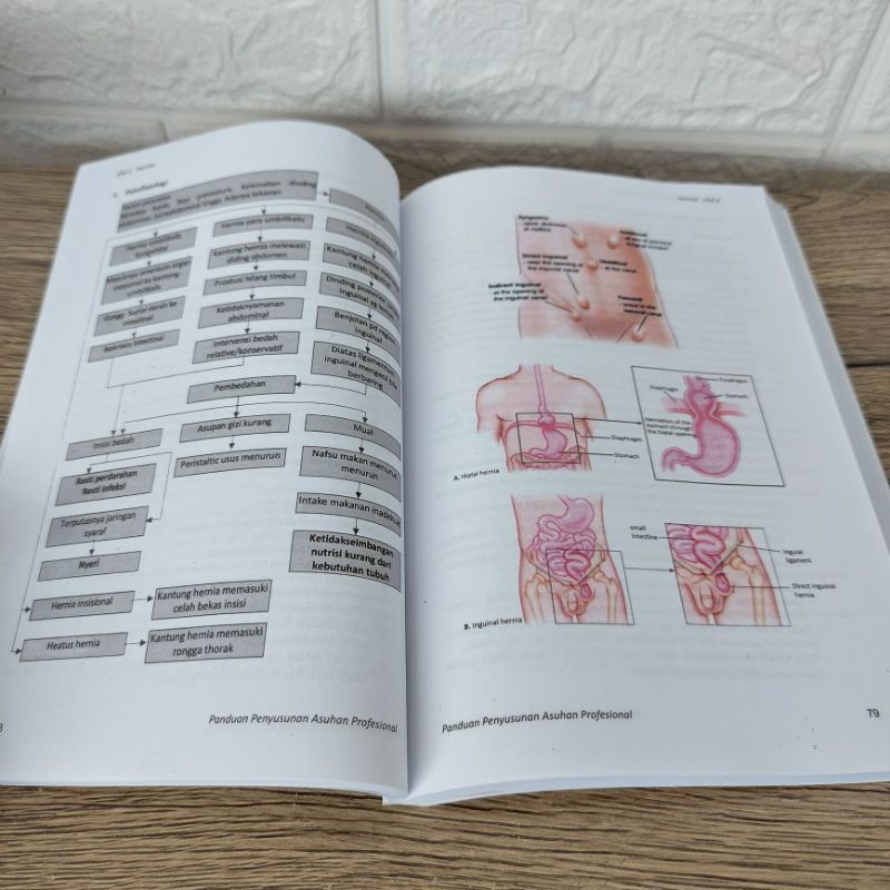 PAKET 3 BUKU APLIKASI NANDA NIC NOC 2015 GAMBAR BERWARNA SDKI SIKI SLKI NIC NOC DIAGNOSIS