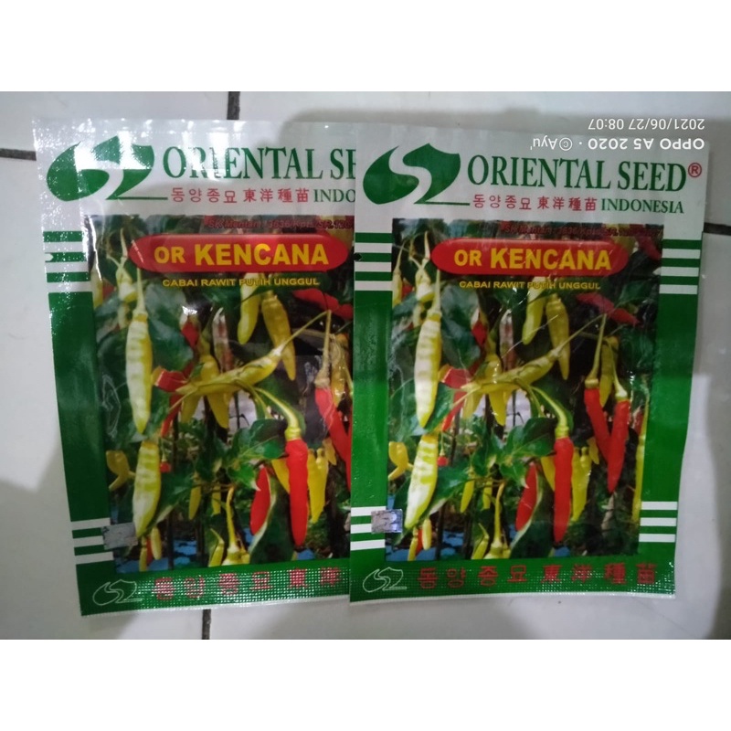 

Cabe Rawit OR KENCANA