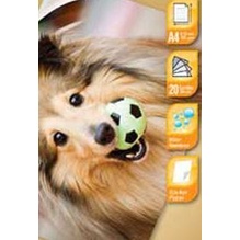 

♩ Kertas Stiker Data Print Glossy Photo Paper A4 135 Gram ❃