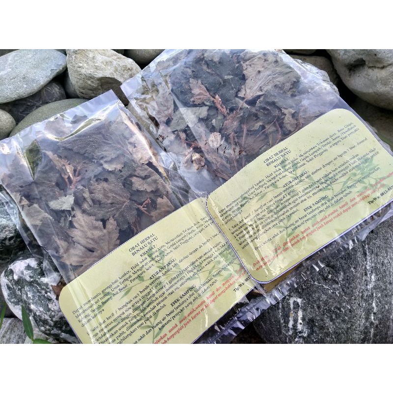 Benalu batu 100% asli SulawesiTengah