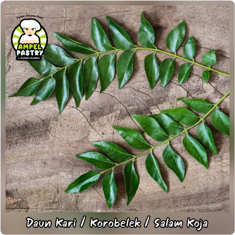

(MINIM BELI 5 TANGKAI) Daun Kari / Salam Koja / Korobelek