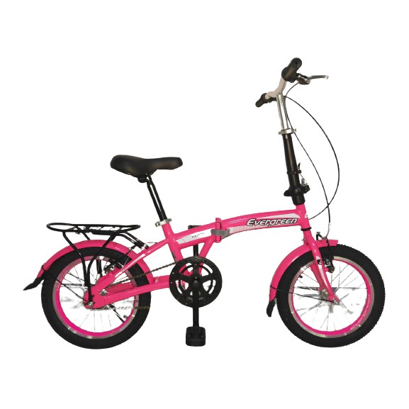 SEPEDA LIPAT 20" EVERGREEN 2008/2009