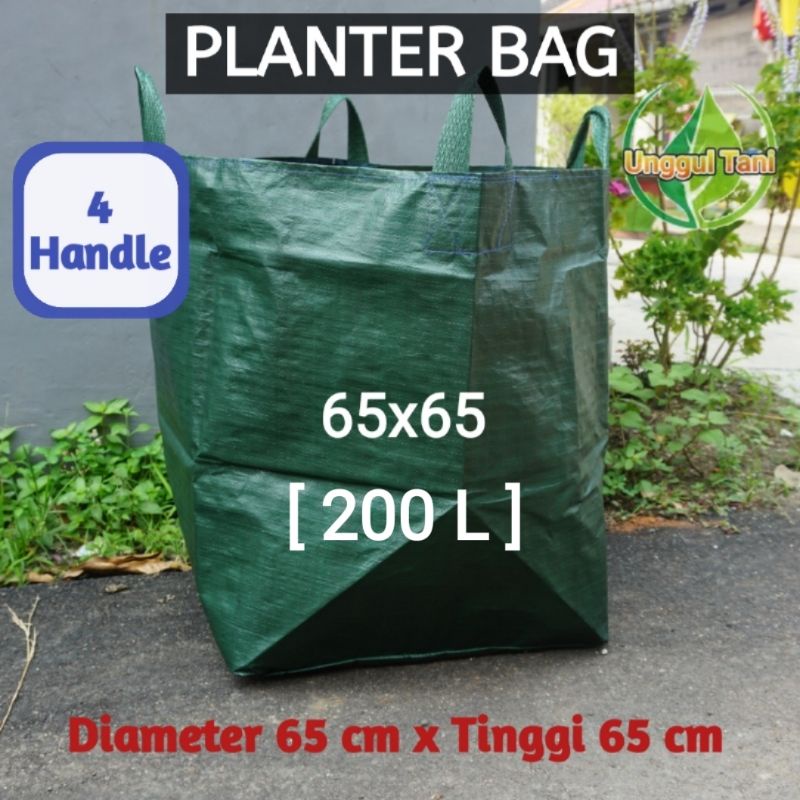 Planter Bag Hijau Big size 65x65 cm kapasitas 200 L untuk Tanaman Buah Tabulapot