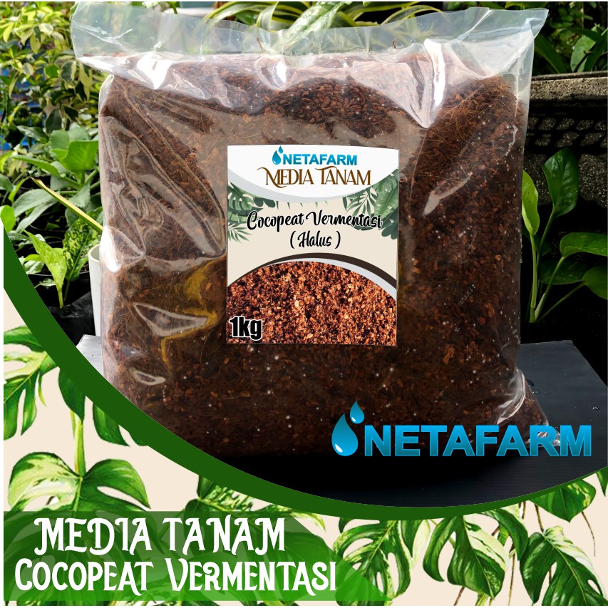 Media Tanam - COCOPEAT FERMENTASI Halus serat sabuk kelapa - 1 kg