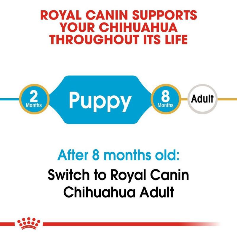 Royal Canin Chihuahua Puppy 1.5Kg Makanan Anjing Khusus Chihuahua Anakan Royal Canin Dog Food