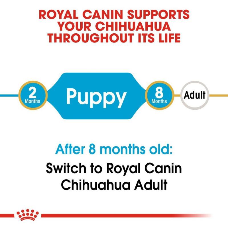 Royal Canin Chihuahua Puppy 1.5Kg Makanan Anjing Khusus Chihuahua Anakan Royal Canin Dog Food