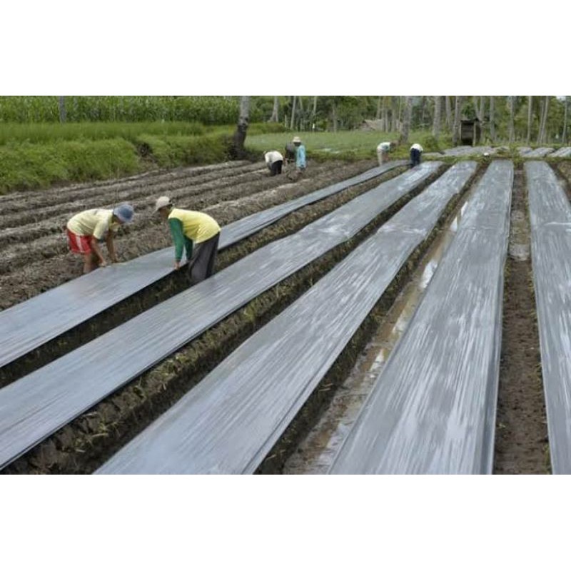 PLASTIK BEDENGAN - PLASTIK MULSA HITAM PERAK LEBAR 120 CM BERAT 1 KG