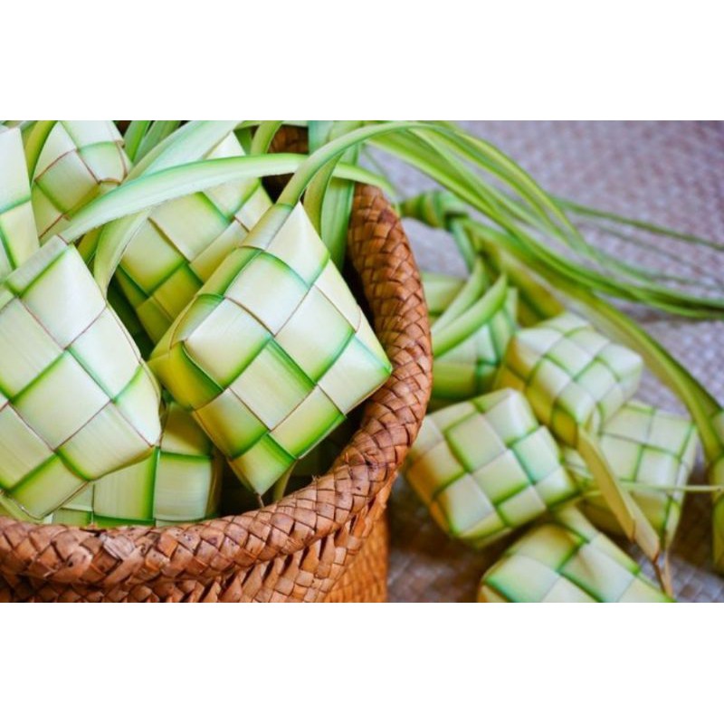 

DAUN KETUPAT / DAUN JANUR YANG SUDAH JADI / DAUN KETUPAT PREMIUM PER IKAT