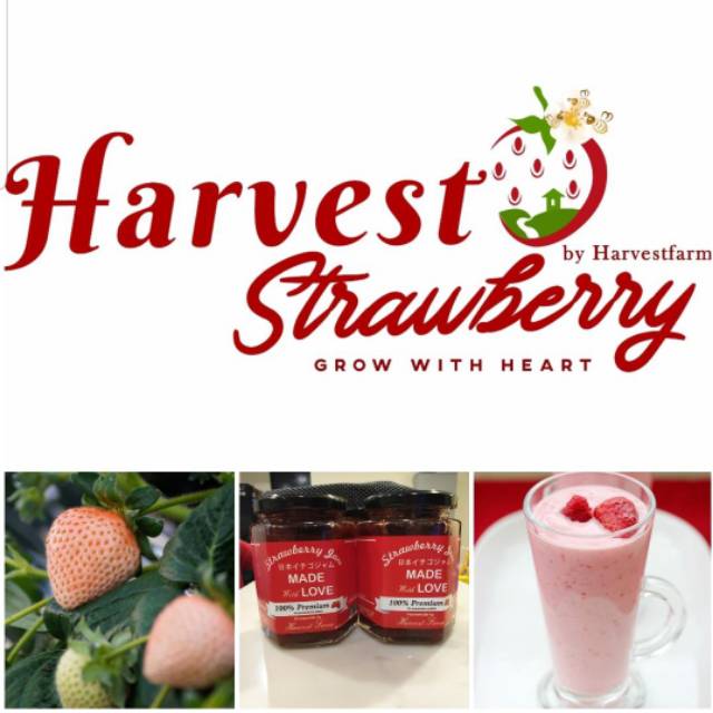 

Harvest strawberry jam 330gr