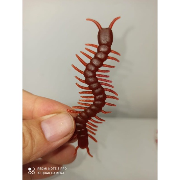 mainan kelabang karet mini