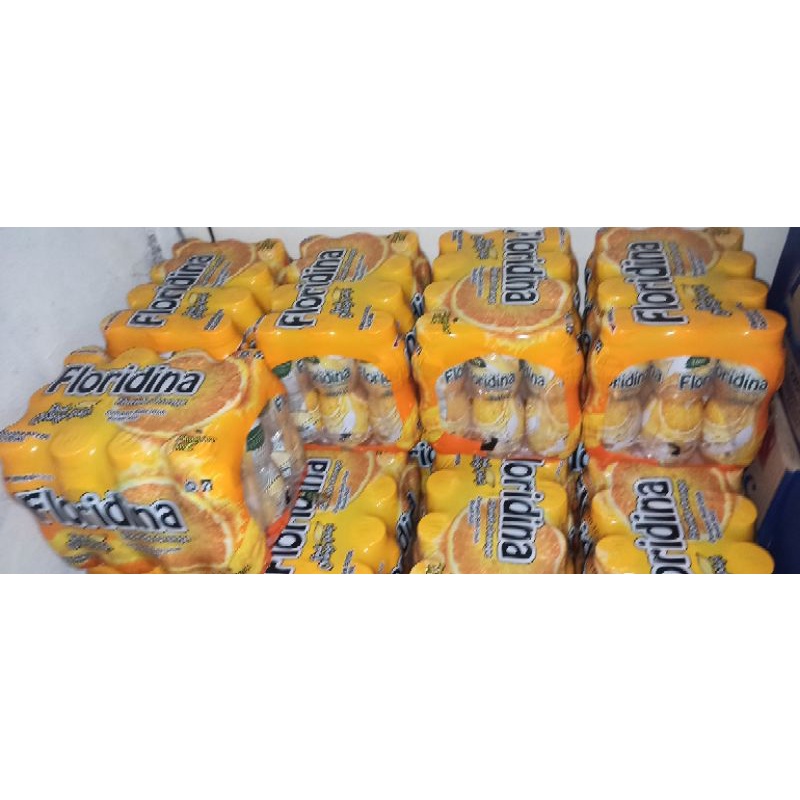 

Floridina Orange 12pcs (350ml)