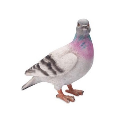 Promo Merpati Pos Stone Murah Shopee Indonesia