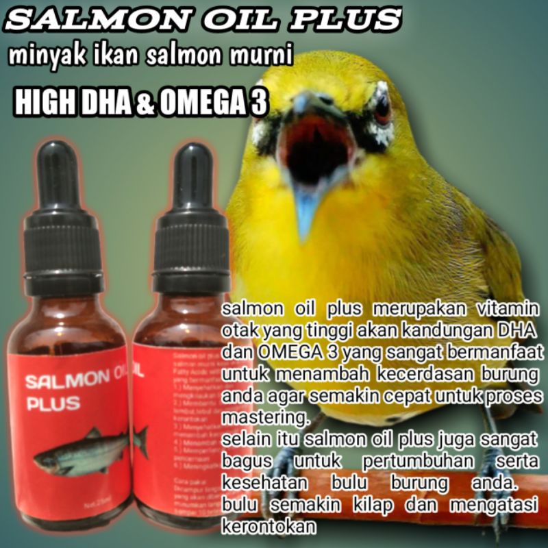 VITAMIN PLECI/VITAMIN OTAK BURUNG/MINYAK IKAN SALMON/SALMON OIL PLUS