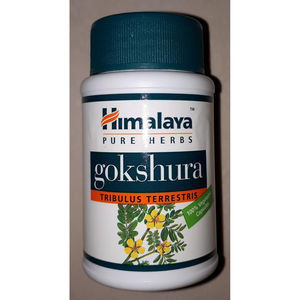 

Gokshura - Produk Herbal Himalaya