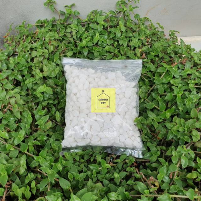 batu hias tanaman aquarium aquascape batu itali 1 kg - putih susu