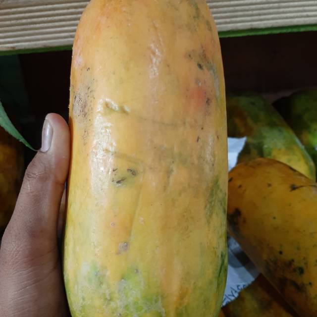 

Pepaya kalifornia 1kg