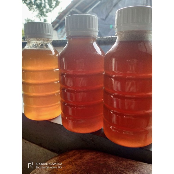 

madu asli hutan liar