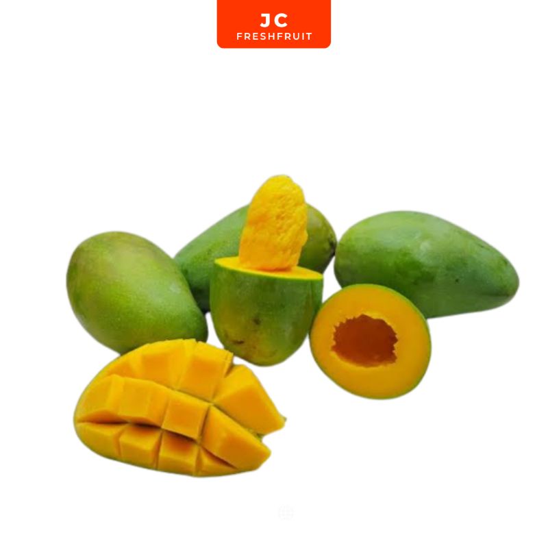 

Mangga alpukat klonal 1kg Tropical mango