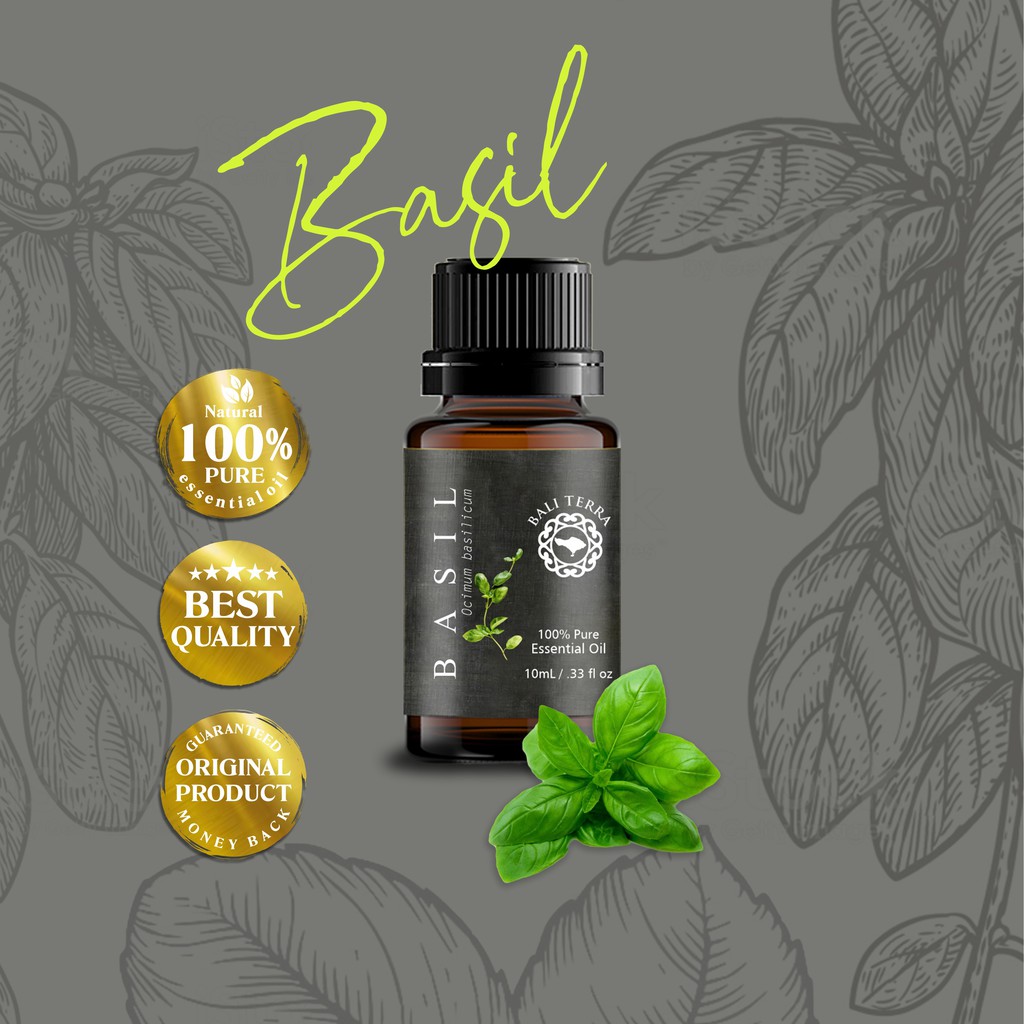 Basil / Minyak Esensial Atsiri Daun Selasih Asli 100% Pure Essential Oil | Bali Terra | Aromatherapy