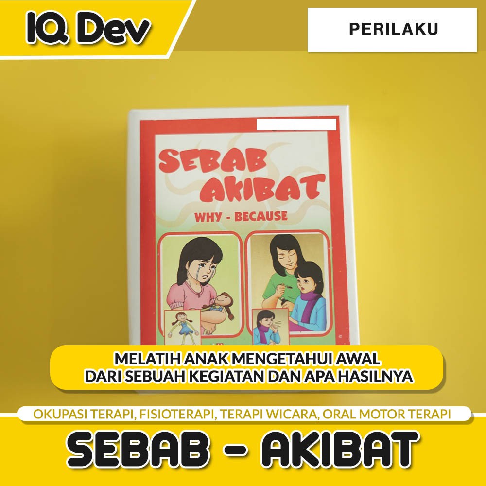 IQ DEV MAINAN TERAPI & EDUKASI ANAK|ORIGINAL|SEBAB AKIBAT