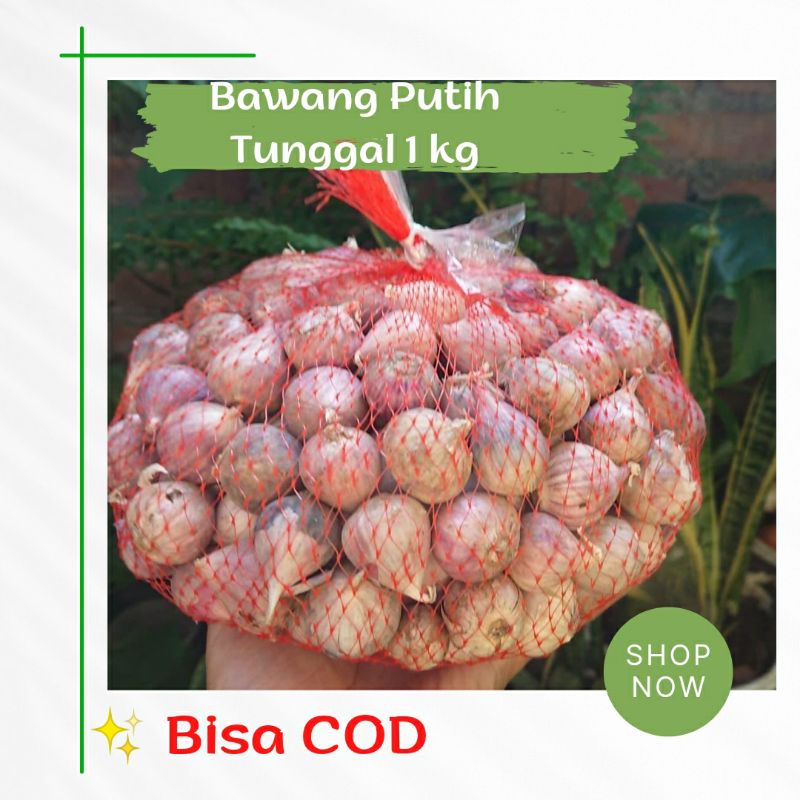 Bawang Putih Tunggal 1 kg Bawang Lanang Tunggal