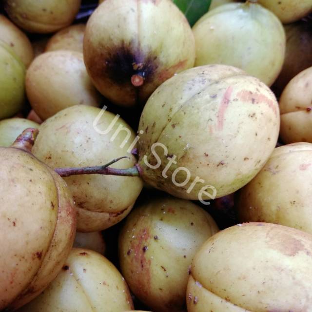 

BUAH PALA SEGAR
