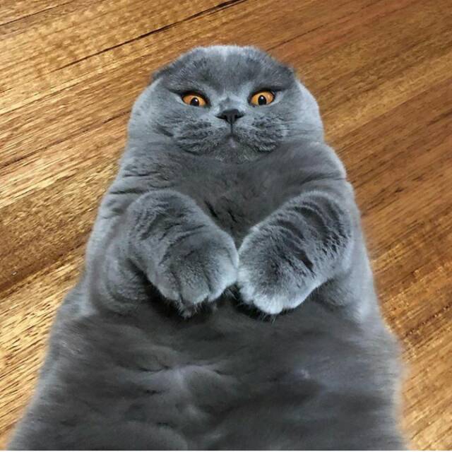 fardilarahmawatimarta.r