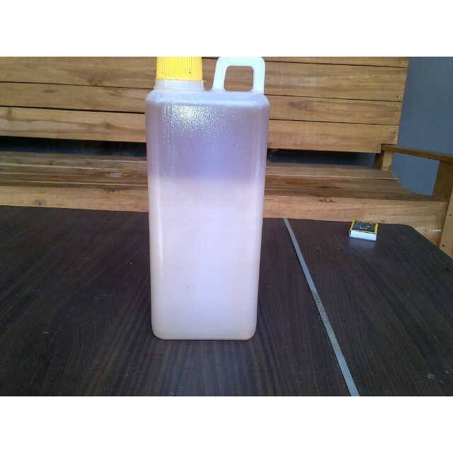 Terlaris MINYAK BULUS ASLI ORIGINAL TANPA CAMPURAN / ORI 1 (satu) LITER