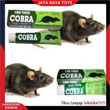 Lem Tikus / Jebakan Tikus / Cobra / Lem Tikus Cobra Super Lengket Ampuh &amp; Berkualitas Bisa Cod