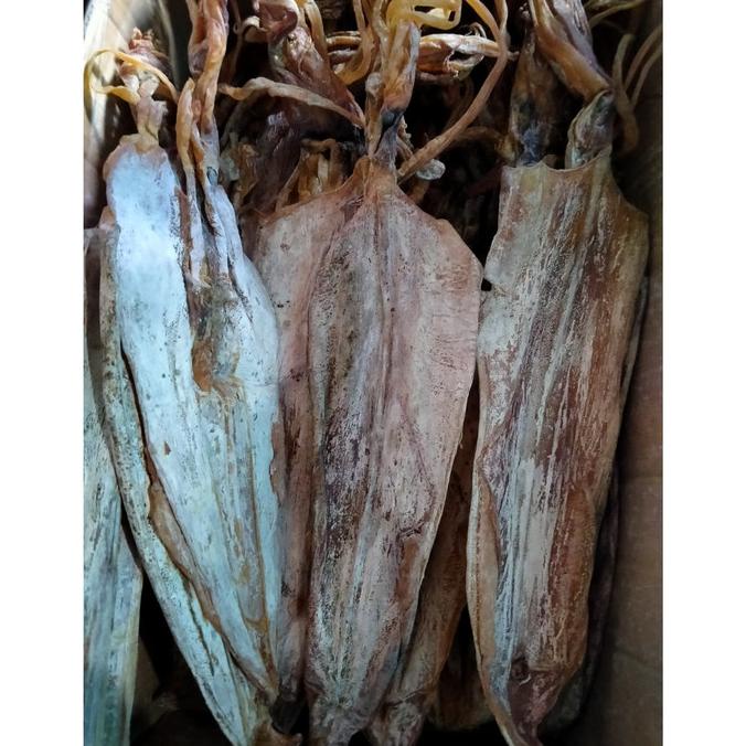 

Juhi Bangka Super / Cumi Kering / Juhi Bangka Size Jumbo 85-100 Gram
