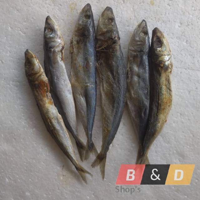 

Ikan Asin Peda Ikan Layang | Layang Asin Super Netto 1 Kg.