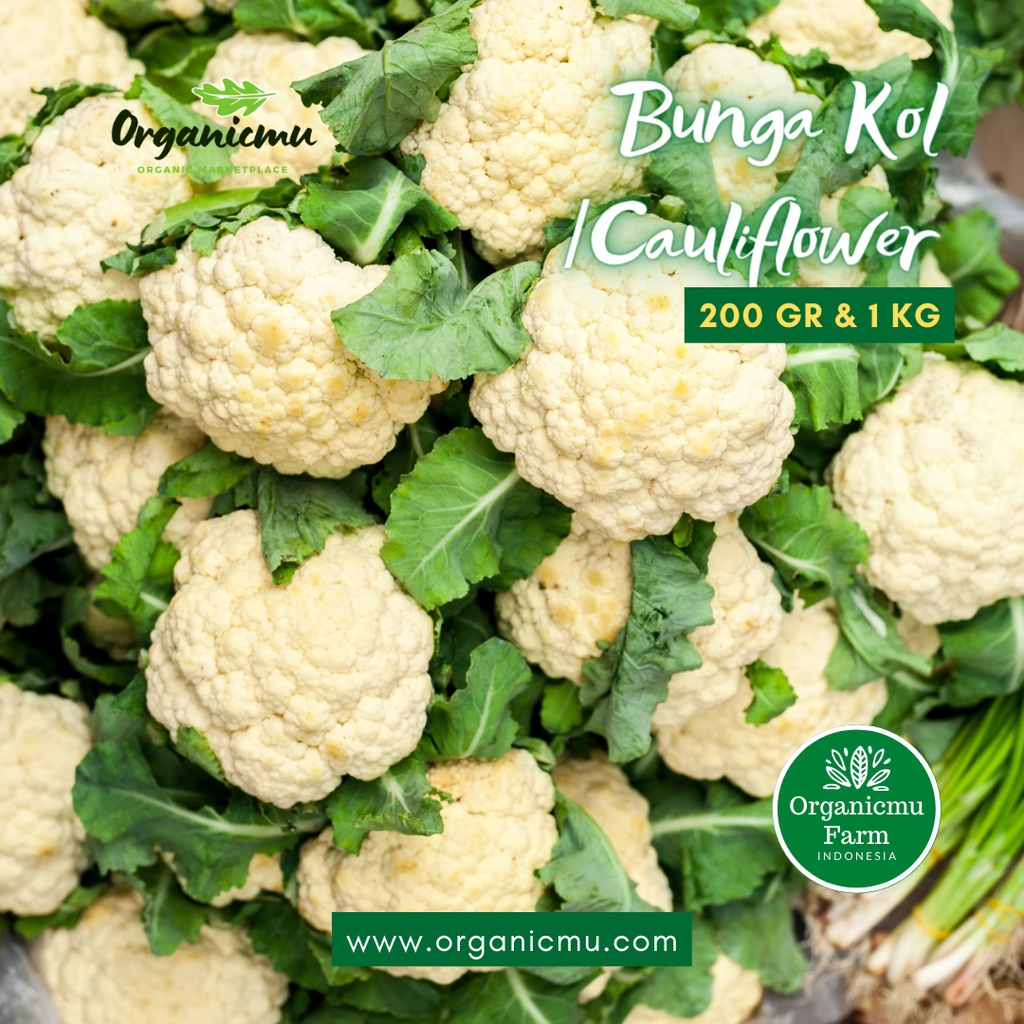 

Organicmu - Bunga Kol 1 kg