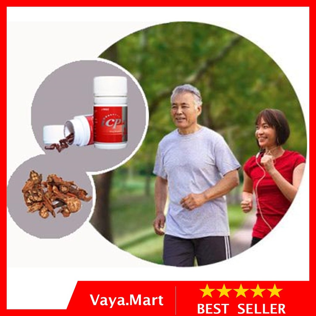 

Solusi Nyeri Jantung Angina Pectoris Tanpa Pasang Ring Sesak Dada lega ICP Capsule