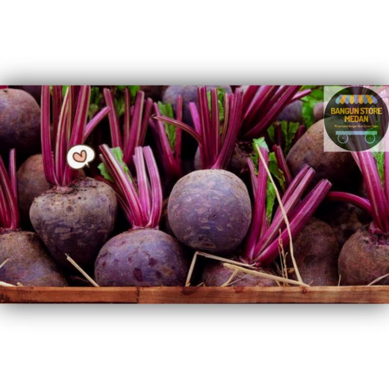

BSM | TERMURAH Buah Bit Segar / Beetroot Segar 500gr - 1kg | Sayur online